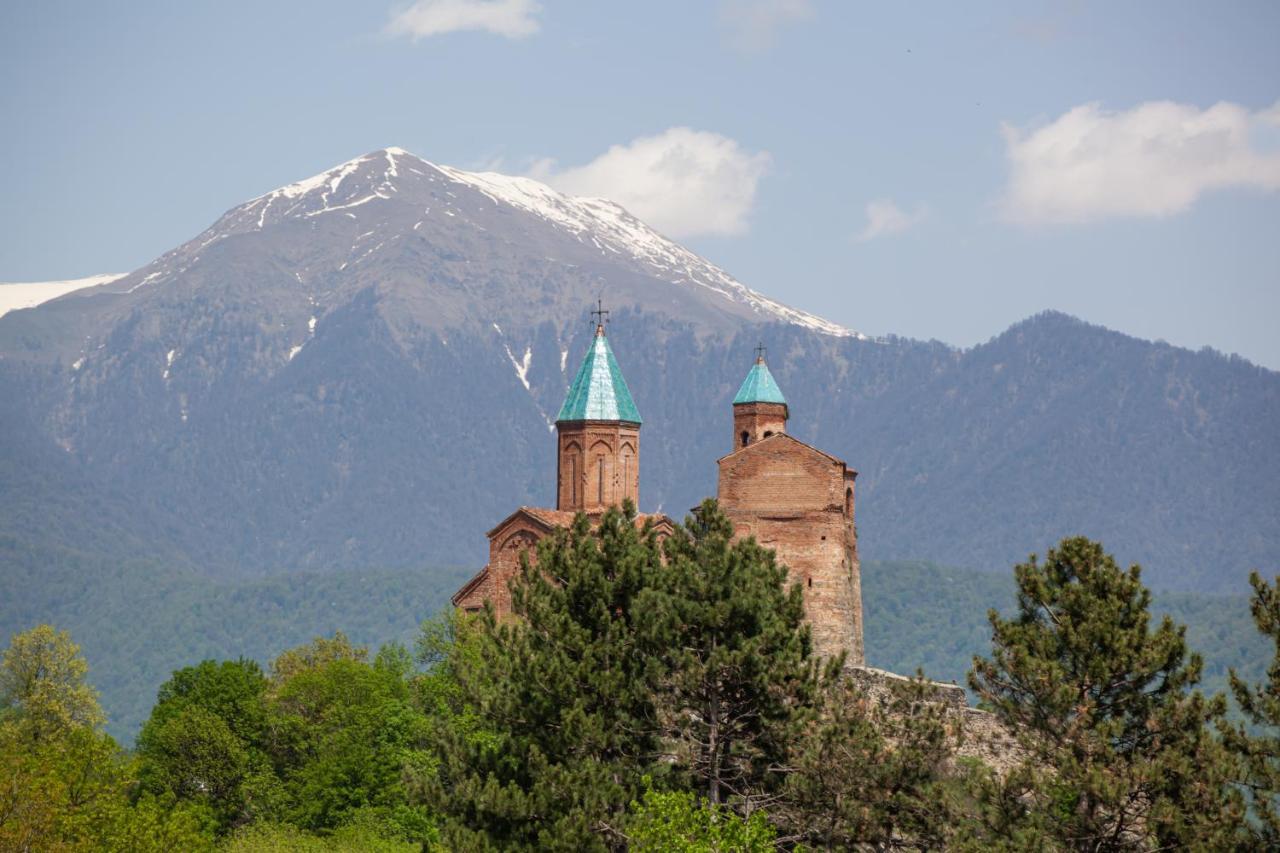 Chateau Gremisio Kvareli Exteriér fotografie